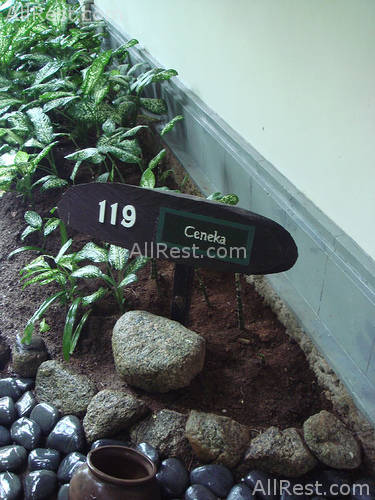 Banyan Tree Bintan 13